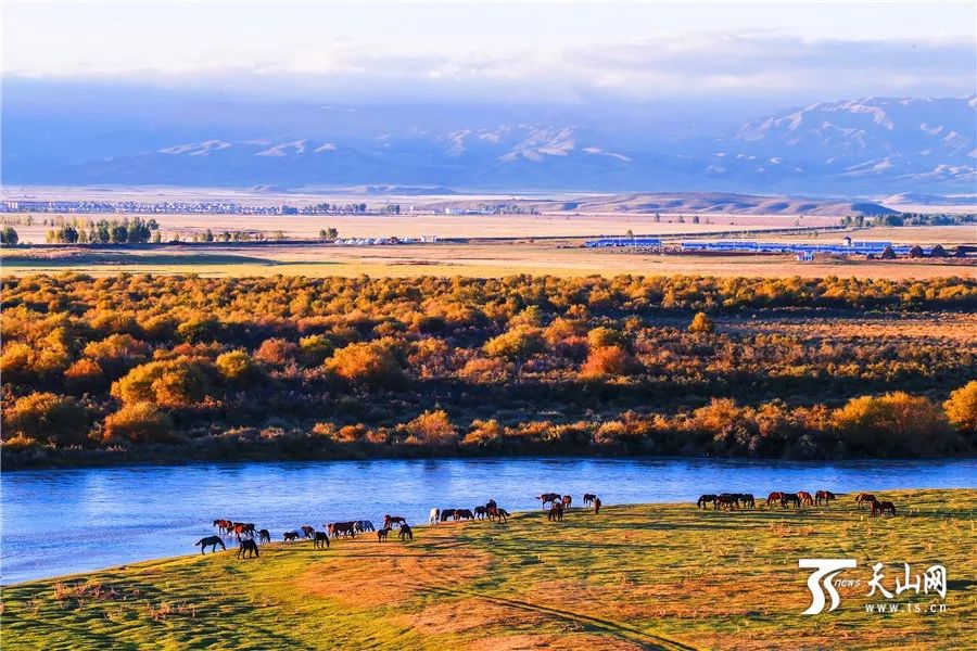 新疆之旅,寻找内心平静的旅程